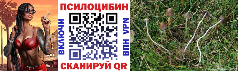 что такое наркотик  Радужный  Галлюциногенные грибы мицелий 
